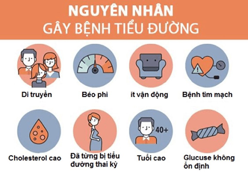 nguyên nhân dẫn đến bệnh tiểu đường