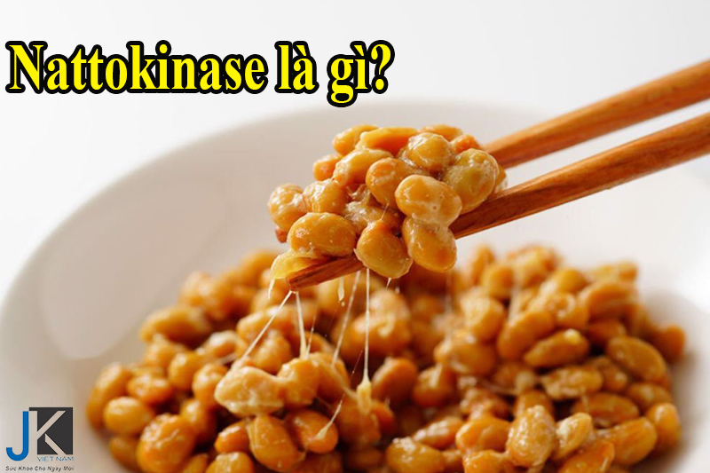 Nattokinase là gì.