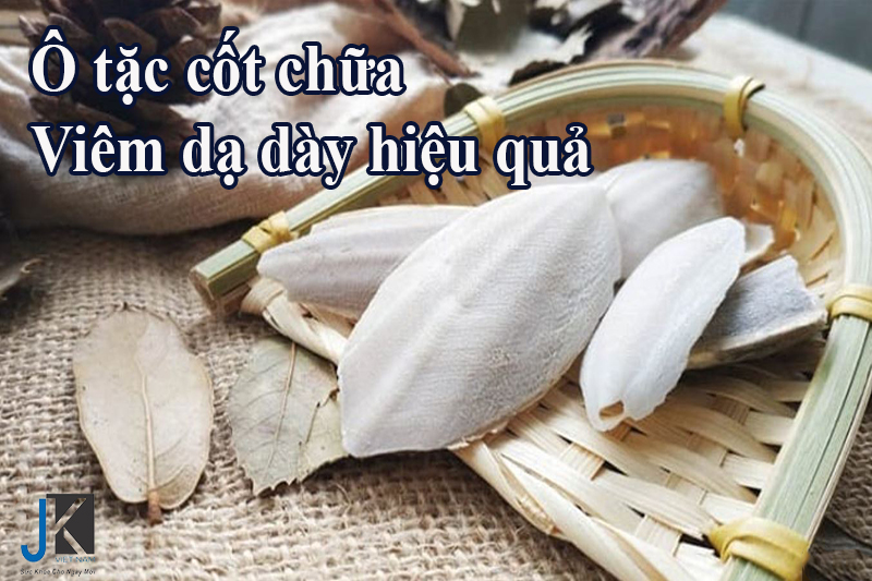 Ô tặc cốt chữa viêm dạ dày hiệu quả